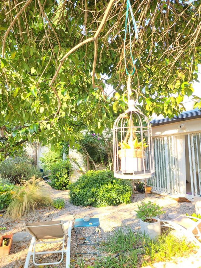 Chez Nous Dans Notre Petit Jardin Apartment Montpellier Ngoại thất bức ảnh
